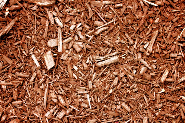 use cedar chips to protect the clothes stored in your garage